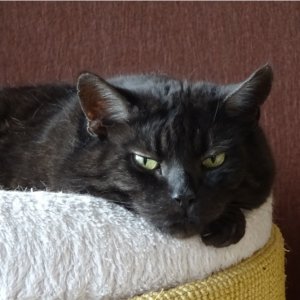 Signatur 03.25_K.jpg