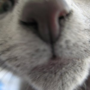 er war noch so jung, als er sterben musste  das ist so entsetzlich.........