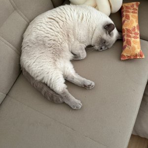 WhatsApp Bild 2025-08-10 um 17.23.38_89859ca3.jpg