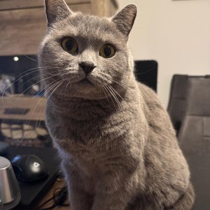 WhatsApp Bild 2025-11-10 um 18.20.42_0dc85d12.jpg