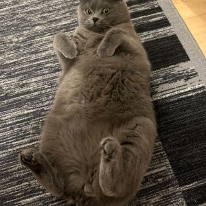 WhatsApp Bild 2025-08-10 um 17.23.38_ed65cac0.jpg