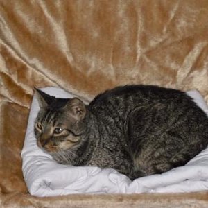 Elliott am Lieblingsplatz