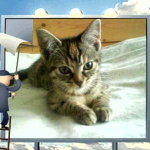 Gülcan, unser extrem vorsichtiger Sonnenschein mit 1/2 Jahr