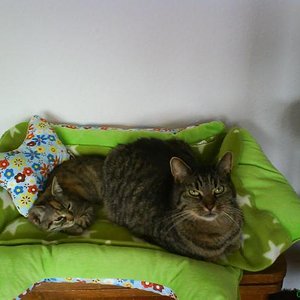 Gülcan (li) u. Oskar 2008