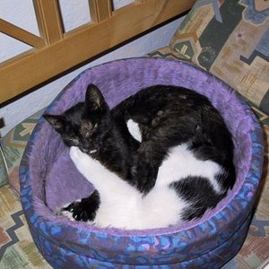 Zora und Timmy rangeln