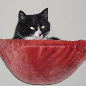 Ich bin die werdende Mutter Finchen und vor Anton hatte ich noch ein ruhiges Leben.