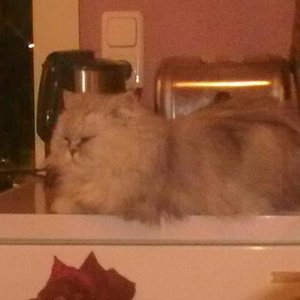 Meine Prinzessin Mati