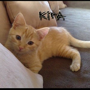 Kira die süße und freche löl