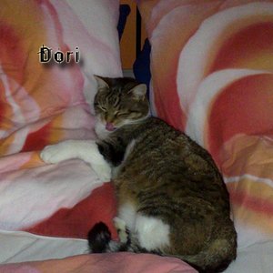 es ist immer schön schlfen in bett