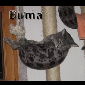 Nur fliegen ist schöner