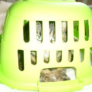 Lisa4  Ich wollte nur bei der Wäsche helfen   ...??