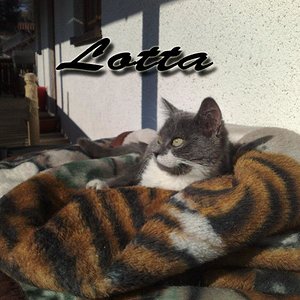 Liebe auf den ersten Blick