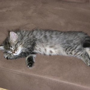 ach is das schön hier auf dem Sofa