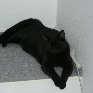 die Mia.. is schon groß geworden! :)