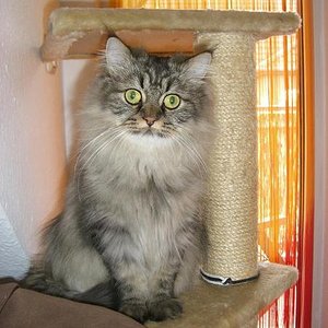 der Krümel is auch schon groß