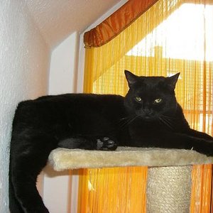 Ich bin die Queen auf meinen KB ;)