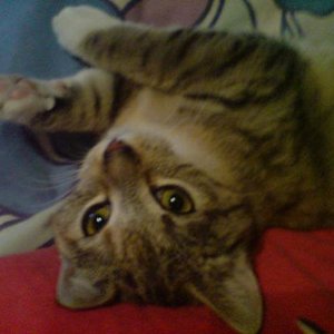 Schau mal, wie süß ich sein kann