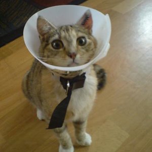 Zoe mit ihrem Erzfeind - dem Trichter