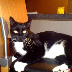 Sammy ist der Herr im Haus!