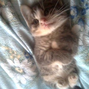 Ist er nicht knuffig???? =)