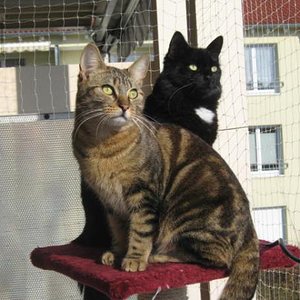 valentin geburtstag 007