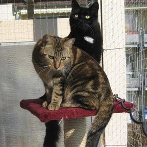 valentin geburtstag 008