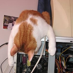 unser Computerexperte