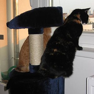 Gemeinsam fenstergucken