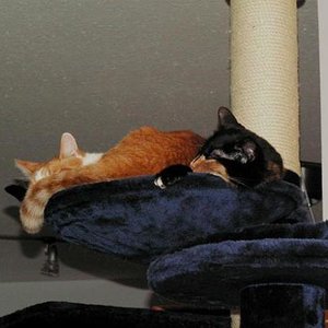 Lang lang ist´s her...da haben sie noch miteinander gekuschelt