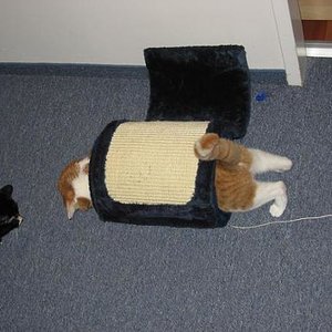 Wo is denn die Schnur hin?