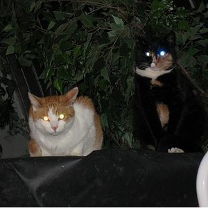 Unsere zwei Nachtleuchten