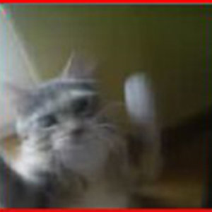 Nicht schießen, ich bin unbewaffnet!