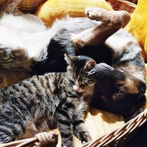 Lara und Leo sooo süss