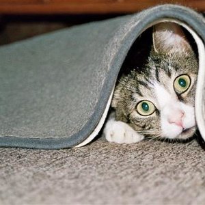 Ist das nicht der komische Typ vom letzten Jahr