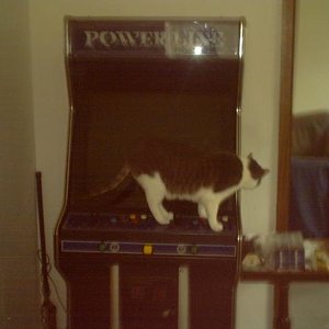 Erni bei kletter auf meine Arcadeautomaten
in denke noch ofts sie