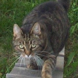 Vorsicht ich komme!!!!!