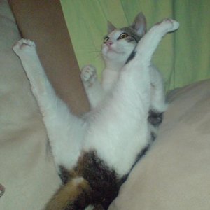 Spielen mit ganzem Körpereinsatz