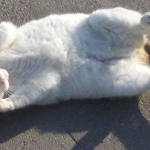 Nur noch ein wenig sonnen!