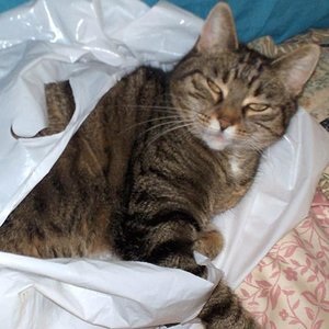 Sackerl sind doch was tolles!