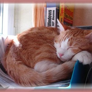 Da war er noch klein und passte in die Schreibtischablage.