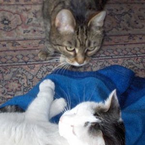 zweisamkeit, was ist das?