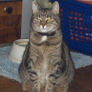 Nur ein wenig die Augen zumachen