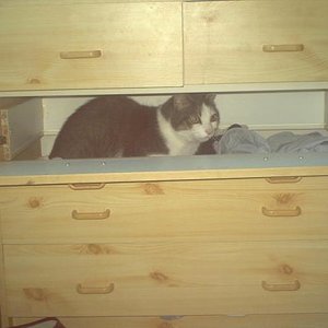 Erni in Schrank jetzt die liebe in Regenbogenland