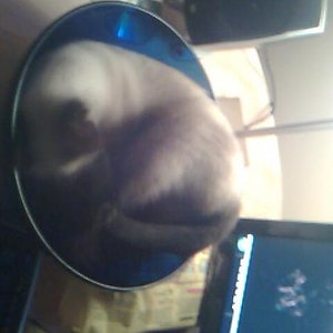 Was soll ich sagen: Diese Schüssel hat es einfach in Sich und vielleicht fallt ja meinem Herli ja was auf???