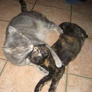 Zuerst zoffen und dann...