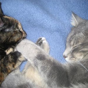 Nach anfänglichem Zickenkrieg ist jetzt alles gut.