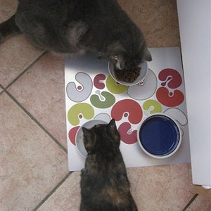 Futtern ist einfach schööön!