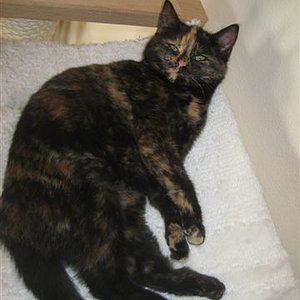 Gemütlich in der Kuschelmulde.