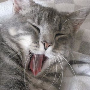 Ist das wieder anstrengend heute!