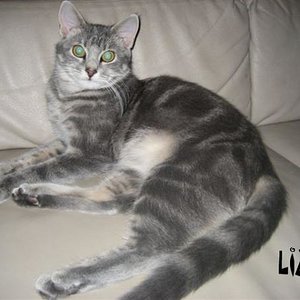 Ihre Hoheit Prinzessin Lizzy